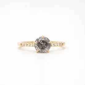 Salt and Pepper Diamond Vault Five-Prong Solitaire