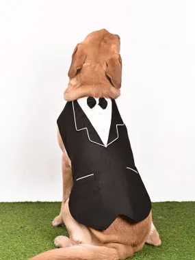 Vastramay Dogs Solid Tuxedo